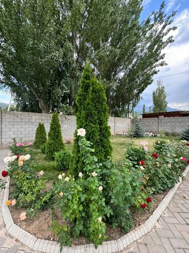 квартира город канте: Дом, 203 м², 5 комнат, Агентство недвижимости, Евроремонт