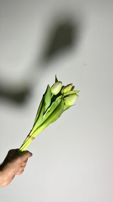 Süni güllər: Məhsul: Tülpan gulleri - Rənglər: Şaftalı-narıncı və ağ tonlarda — 5