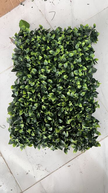 Kovrolin: 10 azn baslayan qiymetler Suni qazonlarin topdan satisi Suni qazon -da lalafo.az — 7 Kovrolin: 10 azn baslayan qiymetler Suni qazonlarin topdan satisi Suni qazon — 7