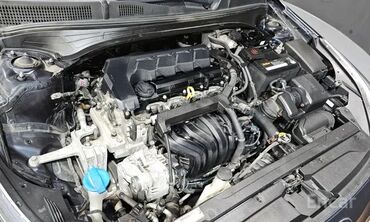 Kia: Kia Carnival: 2019 г., 1.6 л, Автомат, Бензин — 6