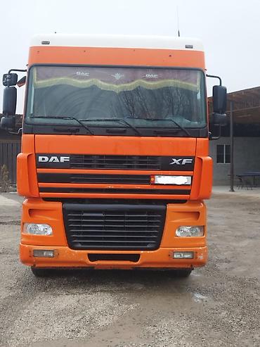 Тягачи: Тягач, DAF, 2004 г., Цистерна — 4