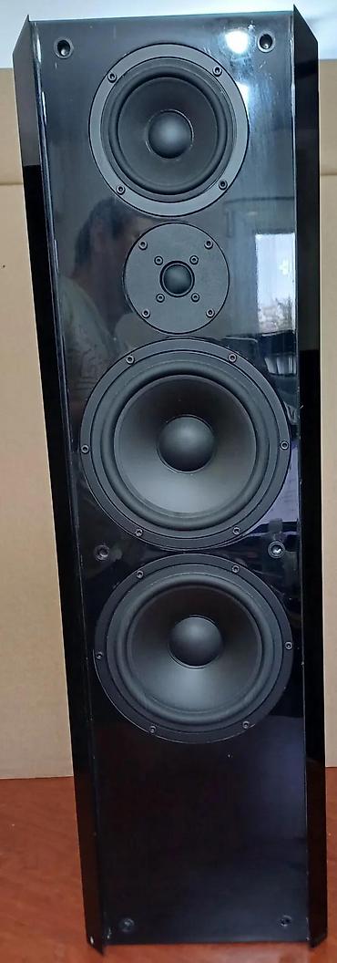 Zvučnici i stereo sistemi: ACR Isostatic RP152 - 150W-250W 4 Ohm - 25Hz-30kHz-92dB-W-1m. Hvala — 13