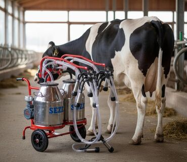 Süd sağan aparatlar: Tək bidon, Türkiyə, Paslanmaz bidon — 8