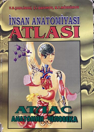 insan anatomiyasi kitab: İnsan anatomiyası atlası