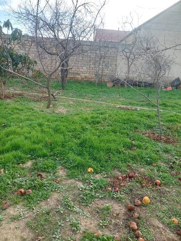 xacmazda satilan torpaqlar: 5 sot, Mülkiyyətçi