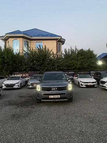 солид: Kia Telluride: 2019 г., Автомат, Бензин, Кроссовер — 3