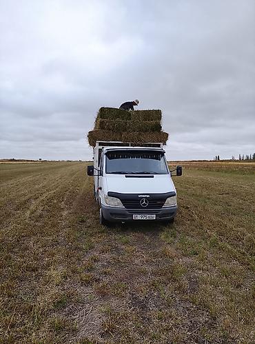 Авто кызматтары: Услуги грузоперевозок на Mercedes-Benz Sprinter (бортовой/фургон с — 4