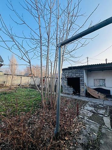 Продажа участков: 6 соток, Для бизнеса, Красная книга, Тех паспорт — 3