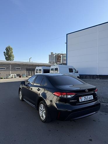 тайота хайер: Toyota Corolla: 2020 г., 1.2 л, Вариатор, Бензин, Седан — 4