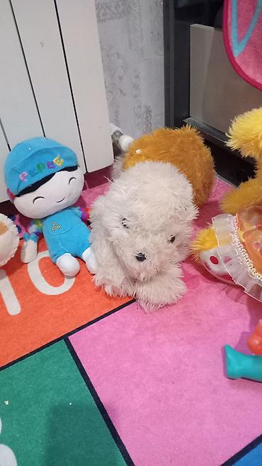 Oyuncaqlar: Uşaq oyuncaqları dəsti - Pişik obrazlı plastik fiqur: böyük başlı — 8