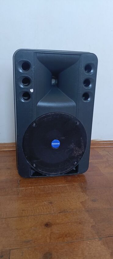 Микрофоны: Mackie Industrial ART 300 passiv akustik sistem - Brend/model: Mackie
