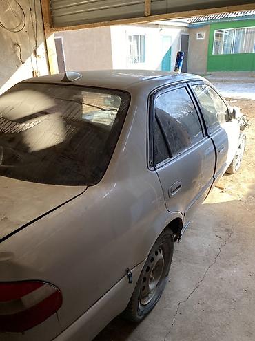 Toyota: Toyota Corolla: 1998 г., Седан — 5