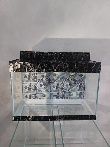 vakum su pompası: Şüşə akvarium – dekorativ “dollar” fonlu - Material: qalın temperli — 3