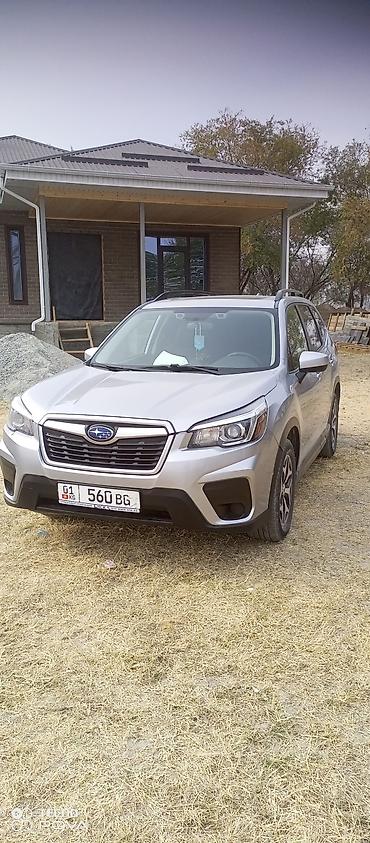 forester 2003: Subaru Forester: 2019 г., 2.5 л, Робот, Бензин, Кроссовер — 1