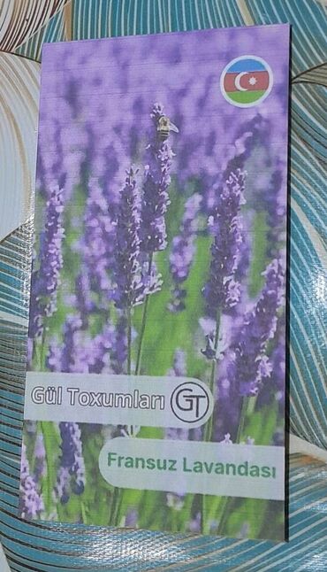 Otaq bitkiləri: Fransız lavanda toxumları ! Paçkası 5 manata Başka 50 çür toxumları
