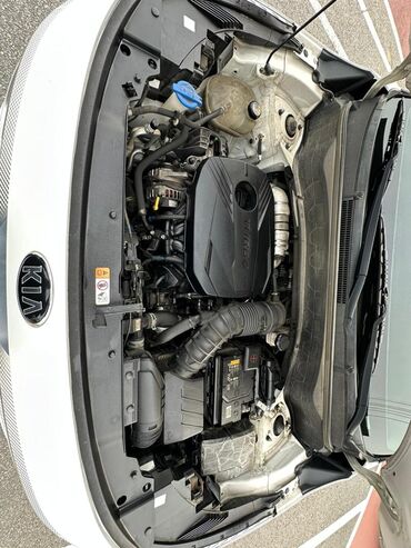 Kia: Kia Seltos: 2020 г., 1.6 л, Робот, Бензин, Кроссовер — 5