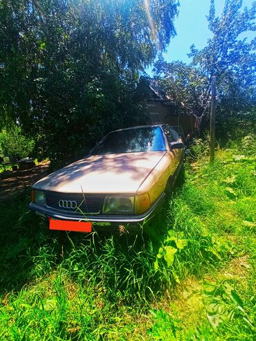 запчасть на мерс 814: Audi 100: 1986 г., 1.8 л, Механика, Бензин, Седан