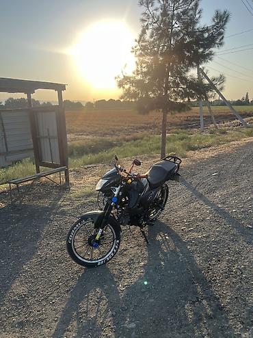 moon af 50 pro: - Champ Diablo, 110 sm3, 2024 il, 3099 km — 6