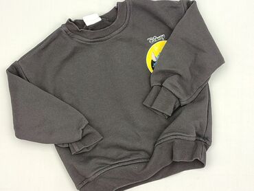 Sweatshirt, Zara, 3-4 years, 98-104 cm, condition - Very good