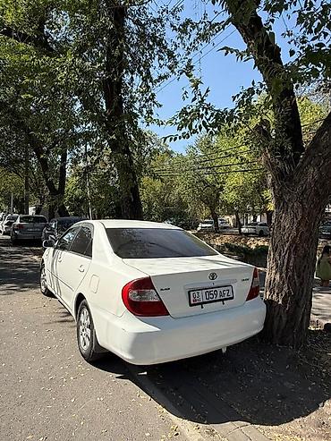 велокрепление на фаркоп: Toyota Camry: 2002 г., 2.4 л, Автомат, Бензин, Седан — 5