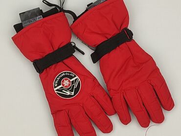 Gloves, Unisex, condition - Very good