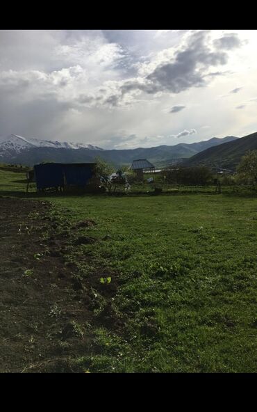 agdas torpaq: Tikinti, Mülkiyyətçi, Kupça (Çıxarış)