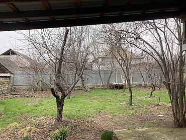 Həyət evi alıram: 200 kv. m, 2 otaqlı, Qaz, İşıq, Su — 2