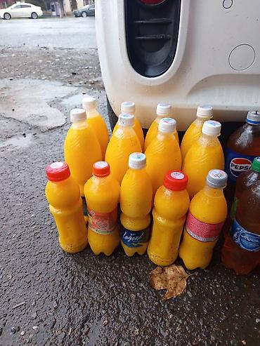 инкубатор норма лупер: Домашние молочные и натуральные продукты 24/7 кымыз Сары май чоого — 1