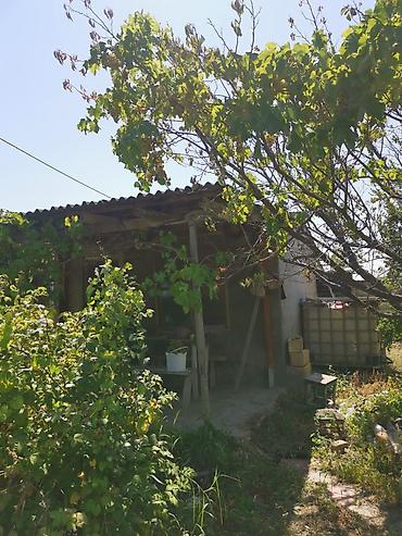 estel sumqayit: 7 sot, Kənd təsərrüfatı, Mülkiyyətçi, Kupça (Çıxarış) — 2