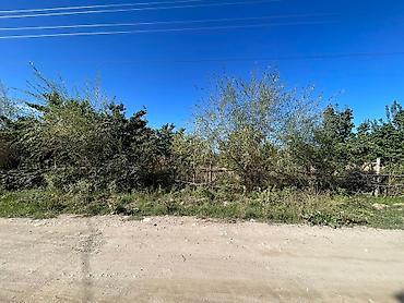 Продажа участков: Продаётся сад ( яблоня, груша абрикосы ) 10 соток в селе Жениш — 5