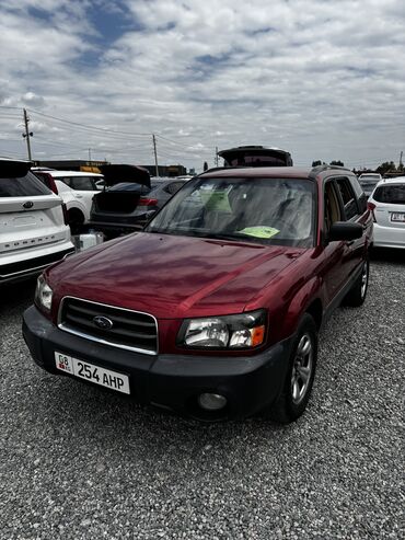самые дешёвые машина: Subaru Forester: 2005 г., 2.5 л, Автоматические, Бензин, Кроссовер