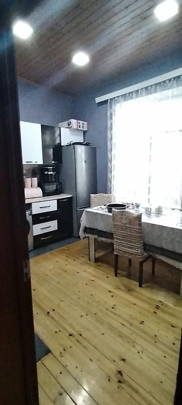 nar agacı: Maştağa Ləhic bağlarında dənizə 2 kilometir məsafədə hər bir şəraiti — 8