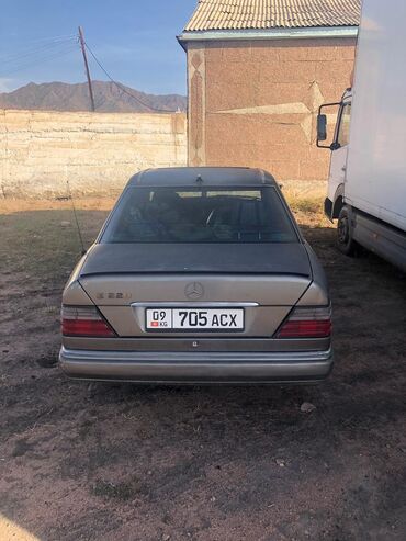 Mercedes-Benz: Mercedes-Benz 220: 1993 г., 2.2 л, Механика, Бензин, Седан