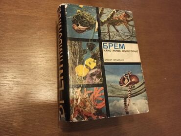 Knjige i stripovi: BREM Kako žive životinje Dobro očuvana knjiga iz 1967g. Izdavač — 21