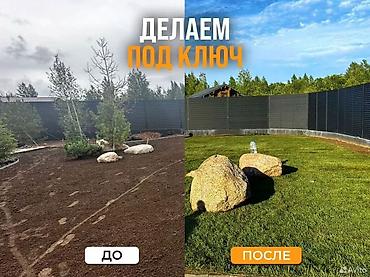 искуственные растения: Профессиональное озеленение территорий - Натуральный рулонный газон — 5