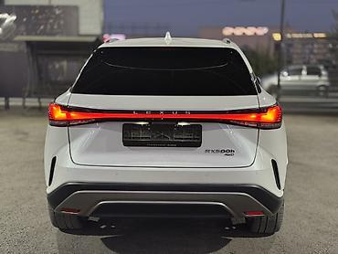 erl grup: Lexus RX: 2024 г., Автомат, Кроссовер — 5