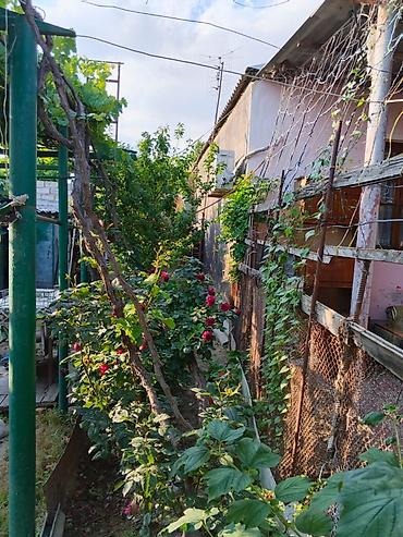 Həyət evləri və villalar: Sabunçu qəs. 3 otaqlı, 63 kv. m, Orta təmir — 5