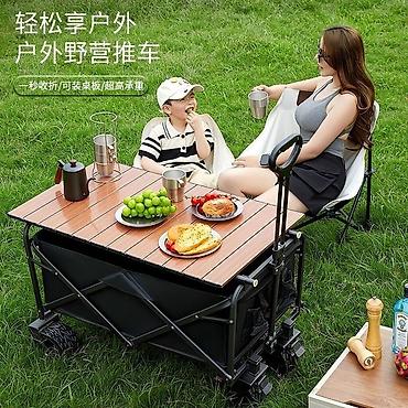 Другие товары для детей: Кемпинговая тележка В горы на пляж На Иссыккуль прям необходимая — 8