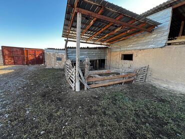 Продажа домов: Дом, 60 м², 2 комнаты, Агентство недвижимости, Косметический ремонт — 18