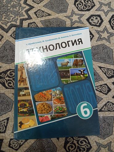 настольные игры мафия: Учебник “Технология. 6 класс” - Авторы: Ч. Мамбеталиев, Ж