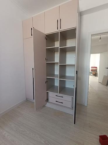 lg flatron: Шкаф на заказ, Распашной, ЛДСП — 3