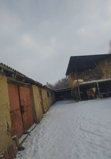 Продажа домов: Дом, 12 м², 4 комнаты, Собственник — 6