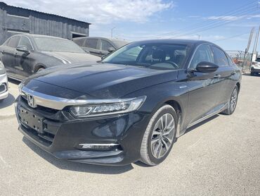 трактор экскаватор: Honda Accord: 2019 г., 2 л, Вариатор, Гибрид, Седан