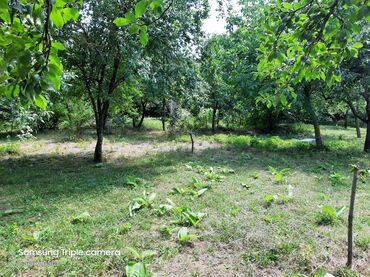 Torpaq sahələrinin satışı: 10 sot, Tikinti, Mülkiyyətçi, Kupça (Çıxarış) -da lalafo.az — 11 Torpaq sahələrinin satışı: 10 sot, Tikinti, Mülkiyyətçi, Kupça (Çıxarış) — 11