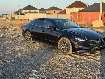 Hyundai: Hyundai Sonata: 2020 г., 2 л, Автомат, Гибрид, Седан — 5