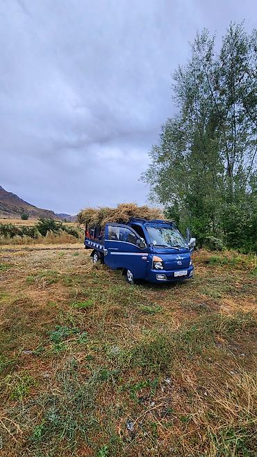 селхоз борт: Hyundai Porter: 2018 г., 2.5 л, Дизель — 1