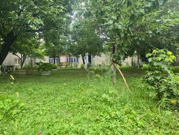 Günlük kirayə evlər: 40 kv. m, 2 otaqlı, Artezian quyusu, Kanalizasiya, Qaz — 6