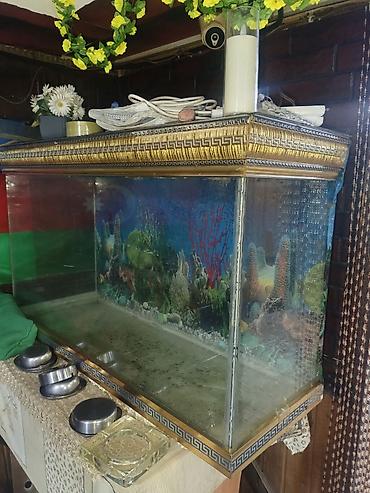 100 l akvarium: Salam. Akvarium satılır. Çok gözəl akvariumdu. Barter de olunur — 4