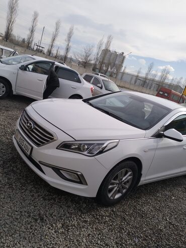 хендай элантра 2017 бишкек цена: Hyundai Sonata: 2017 г., 2 л, Автомат, Газ, Седан