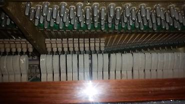 Çörəkbişirənlər: Məhsulların təsviri: 1) Taxta kofe/jurnal masası - Material: massiv — 6